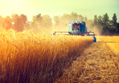 首页| 918博天堂集团中国官方网站